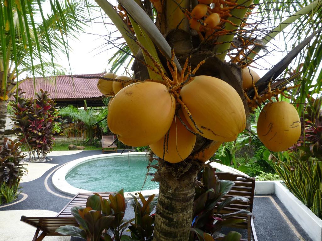 West Bali Villas-Umasari Resort Negara  Quarto foto